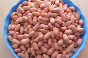 photo_2025-06-26_09-46-07