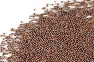 photo_2025-06-26_09-46-10