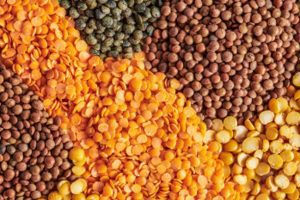 photo_2025-06-26_09-46-11