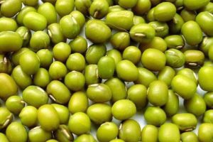 photo_2025-06-26_09-46-16