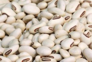 photo_2025-06-26_09-46-24